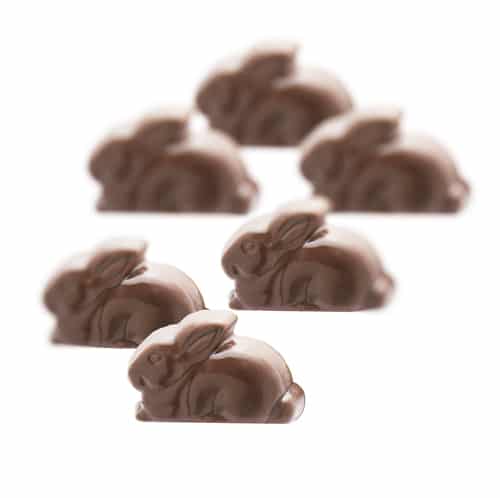 Milk Chocolate Bunnies